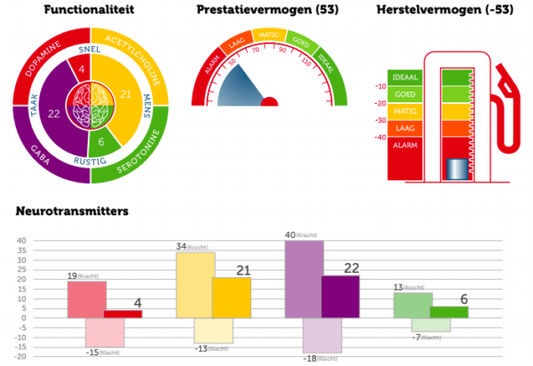 Neurotransmitter test denise boon voorbeelduitslag I