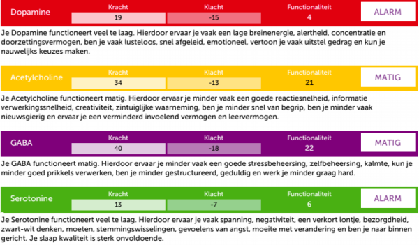 Neurotransmitter test denise boon voorbeelduitslag II