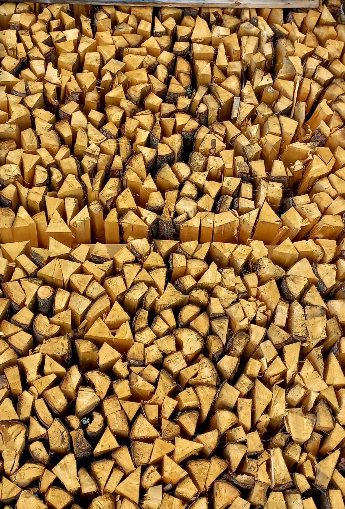 Foto hout