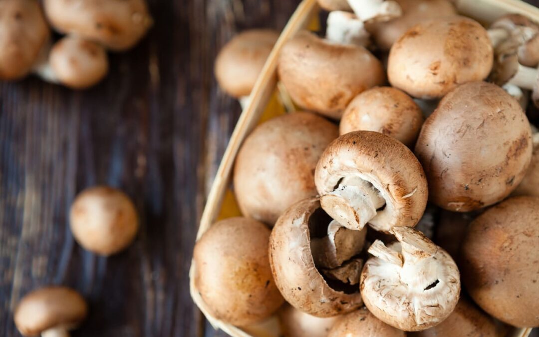 Champignons en Histamine – wat je moet weten