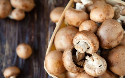 Champignons en Histamine – wat je moet weten