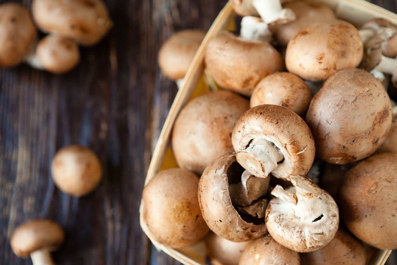 champignons histamine