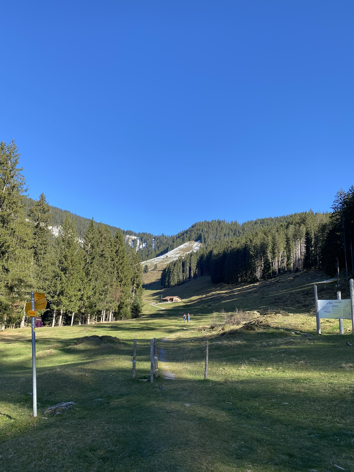 Alpen Trail